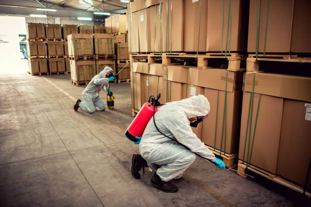 Best Bed Bug Extermination  in Amesti, CA