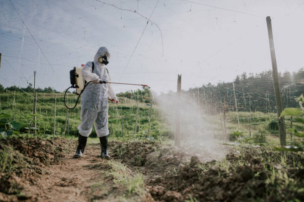 Best Insect Control  in Amesti, CA