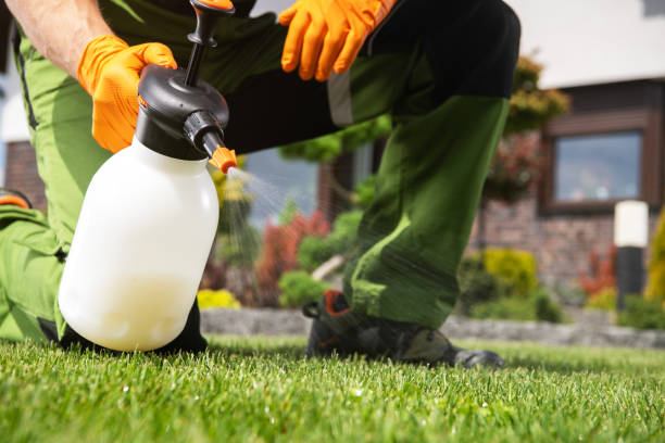 Best Best Pest Control Companies  in Amesti, CA