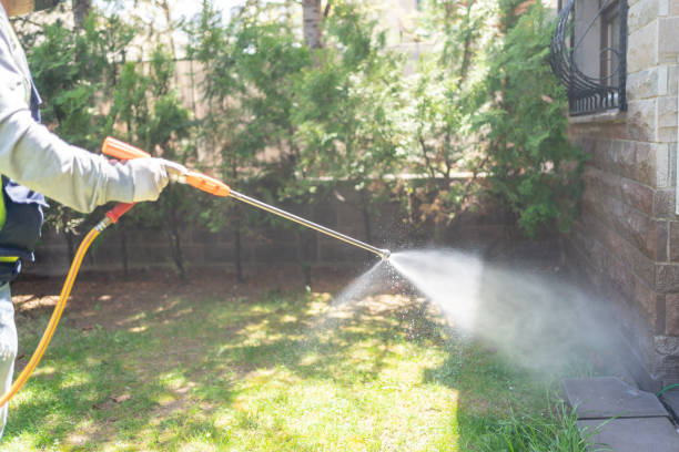 Best Affordable Pest Control Services  in Amesti, CA