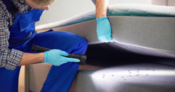 Best Affordable Exterminators  in Amesti, CA