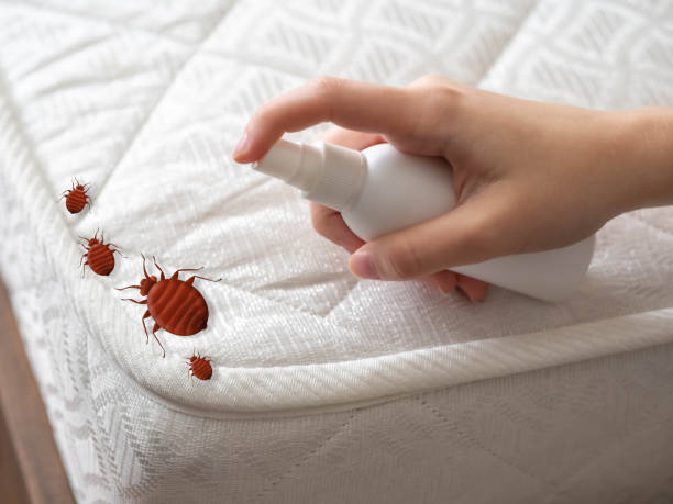 Best Emergency Pest Control  in Amesti, CA