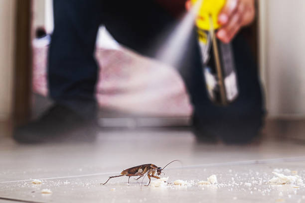 Best Commercial Pest Control Services  in Amesti, CA