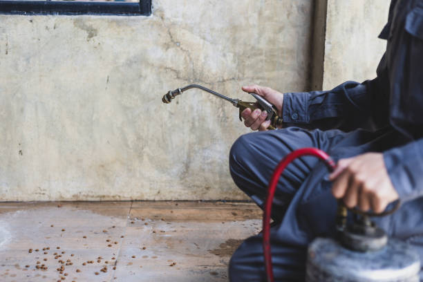 Best Pest Removal Services  in Amesti, CA