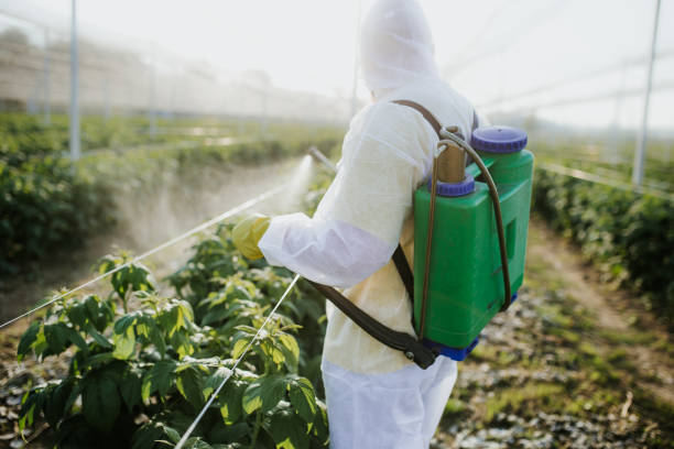 Trusted Amesti, CA Pest Control Experts